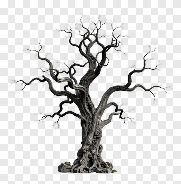 Gnarled Tree With Twisted Branches PNG