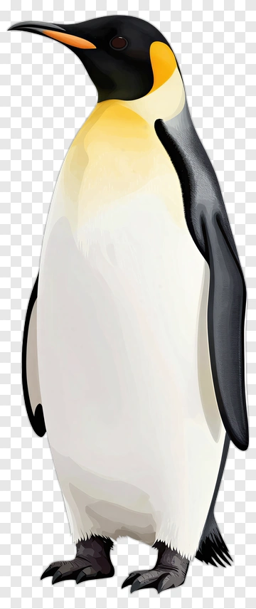 Emperor Penguin Standing Upright PNG