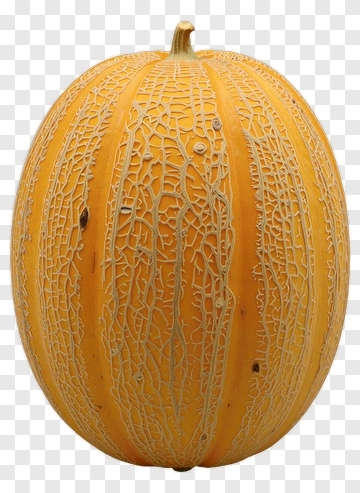 Orange Melon With White Netting PNG
