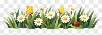 Daisies Butterflies And Ladybug In Grass PNG