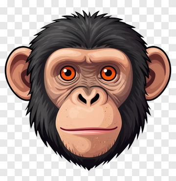 Chimpanzee Face PNG
