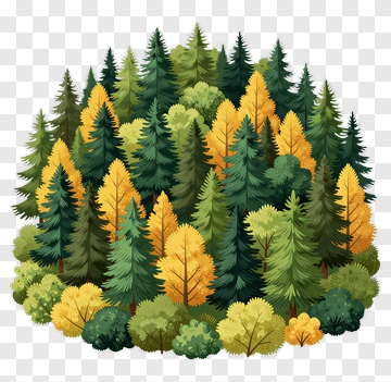 Autumn Forest With Pine And Maple Trees PNG