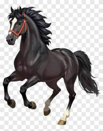 Black Horse In Motion PNG