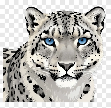 Snow Leopard Portrait PNG