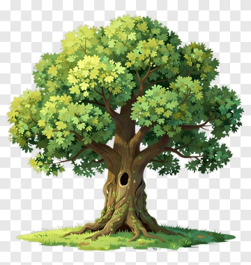 Cartoon Tree With Green Leaves PNG