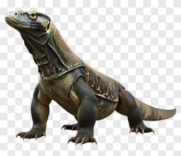 Komodo Dragon Standing Alert PNG