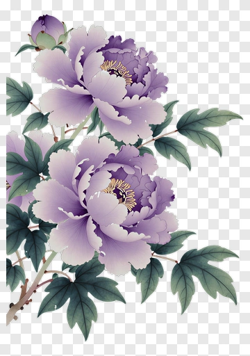 Purple Peony Blossoms With Green Leaves PNG
