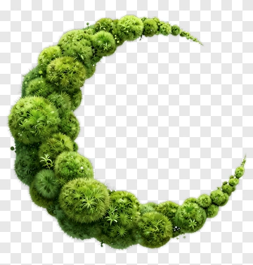 Green Moon Shaped By Nature PNG
